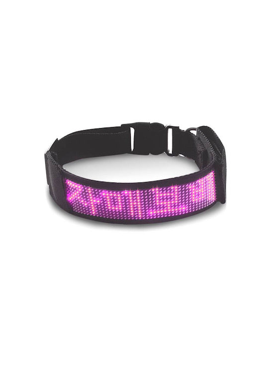 BDSM LED Bluetooth Collar For Good Gay Boy Purple