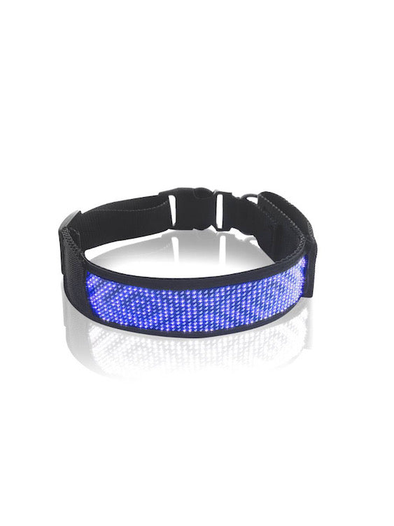 BDSM LED Bluetooth Collar For Good Gay Boy Blue