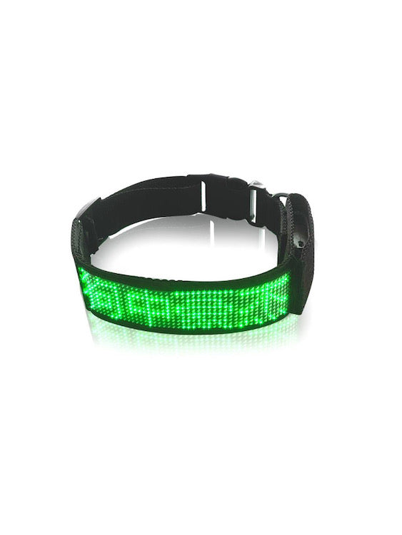 BDSM LED Bluetooth Collar For Good Gay Boy Green