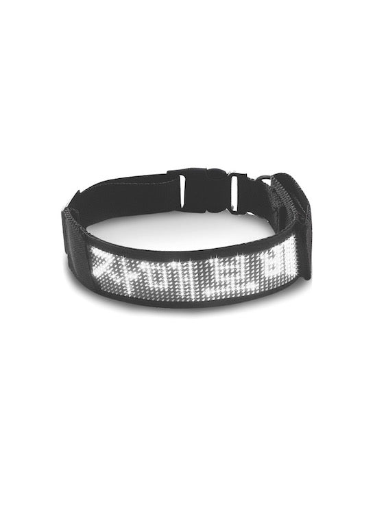 BDSM LED Bluetooth Collar For Good Gay Boy White