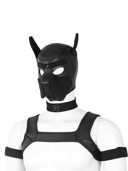 BDSM fetish puppy play gear hood+Collar+Armband+Harness