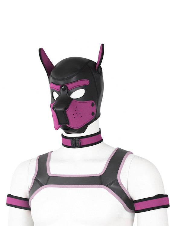 BDSM fetish puppy play gear hood+Collar+Armband+Harness