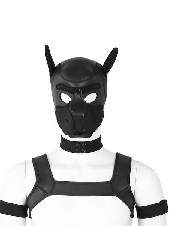 BDSM fetish puppy play gear hood+Collar+Armband+Harness