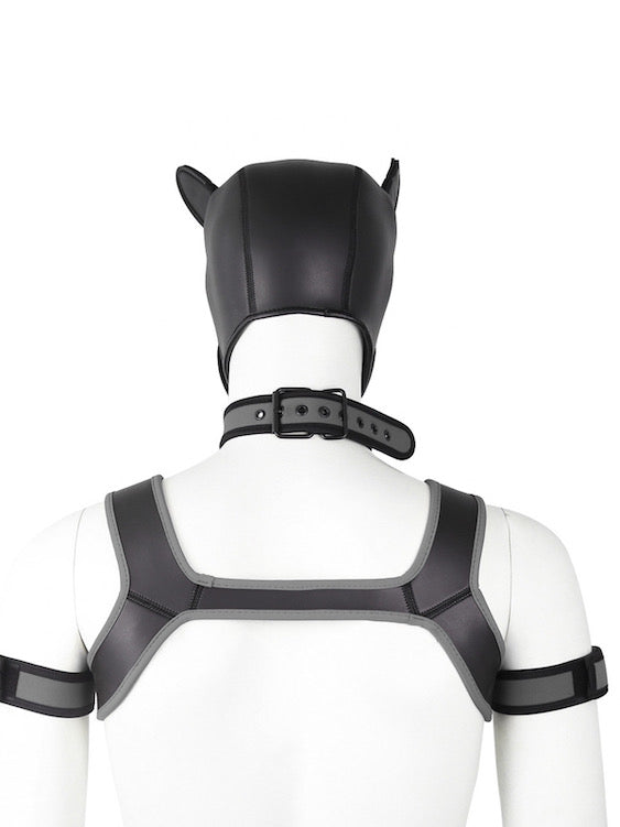 BDSM fetish puppy play gear hood+Collar+Armband+Harness