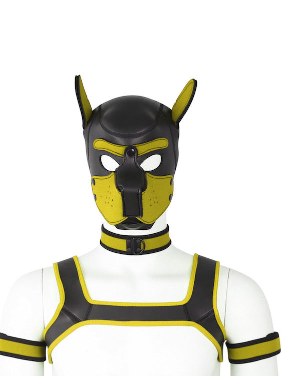 BDSM fetish puppy play gear hood+Collar+Armband+Harness