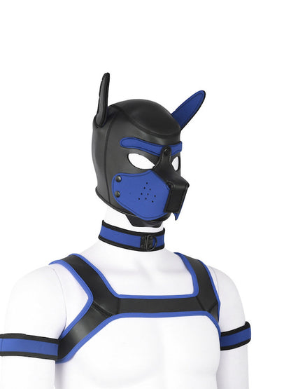 BDSM fetish puppy play gear hood+Collar+Armband+Harness