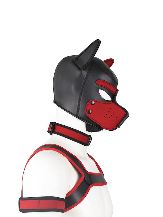 BDSM fetish puppy play gear hood+Collar+Armband+Harness