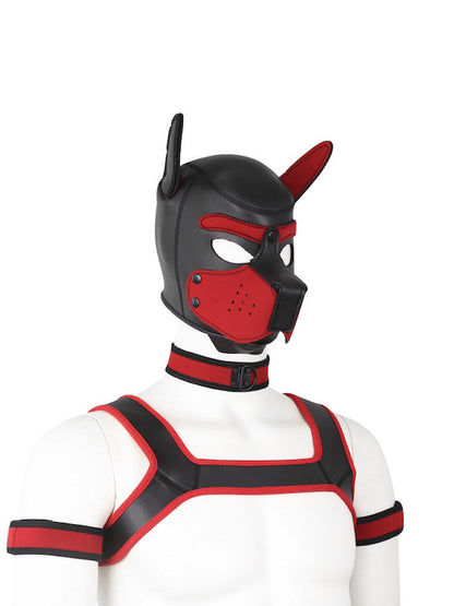 BDSM fetish puppy play gear hood+Collar+Armband+Harness