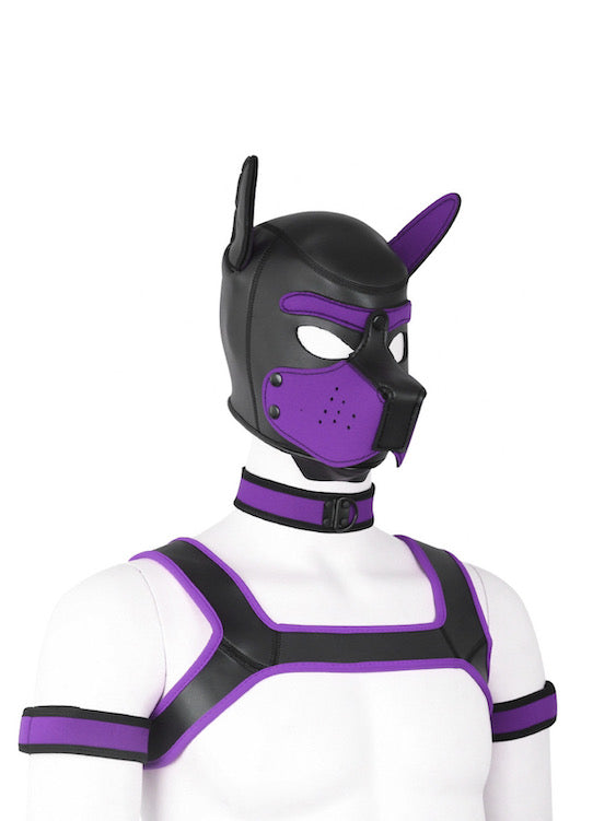 BDSM fetish puppy play gear hood+Collar+Armband+Harness