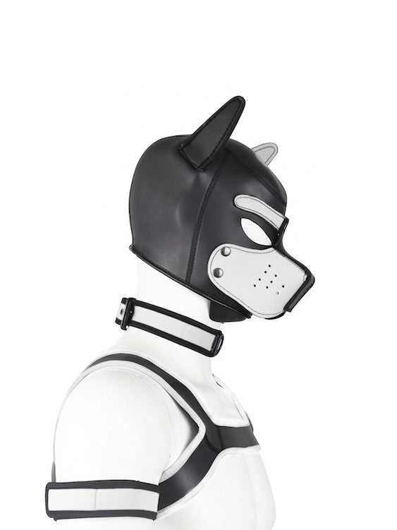 BDSM fetish puppy play gear hood+Collar+Armband+Harness