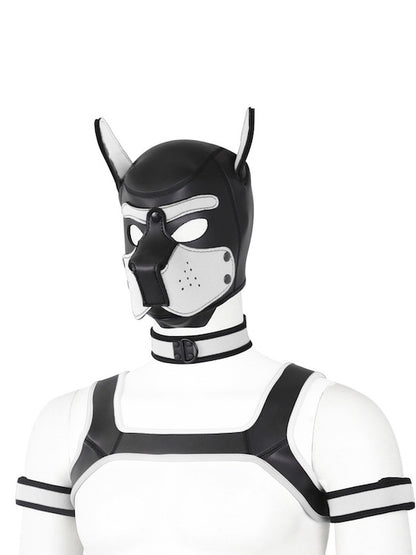 BDSM fetish puppy play gear hood+Collar+Armband+Harness