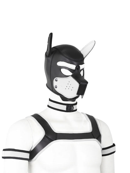 BDSM fetish puppy play gear hood+Collar+Armband+Harness