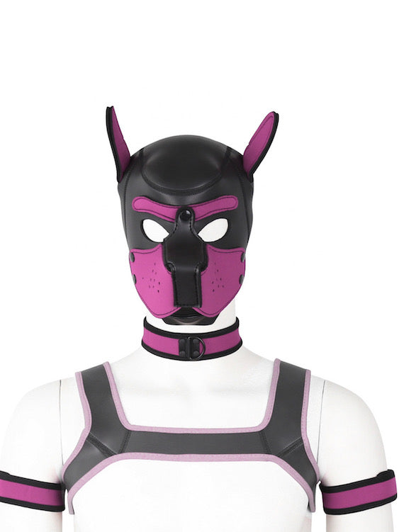 BDSM fetish puppy play gear hood+Collar+Armband+Harness