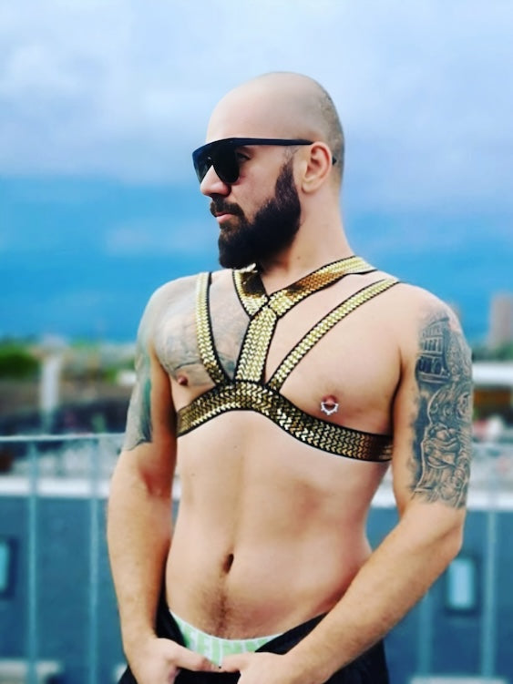 Men's Harness Covered With Sequin