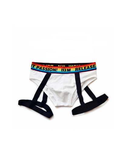 Rainbow Triangle Sexy Underwear for Men