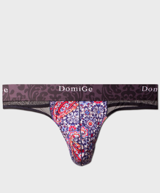 2 PCS Sheer and Sexy: Floral Patterned Thong