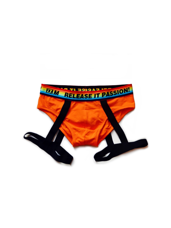 Rainbow Triangle Sexy Underwear for Men