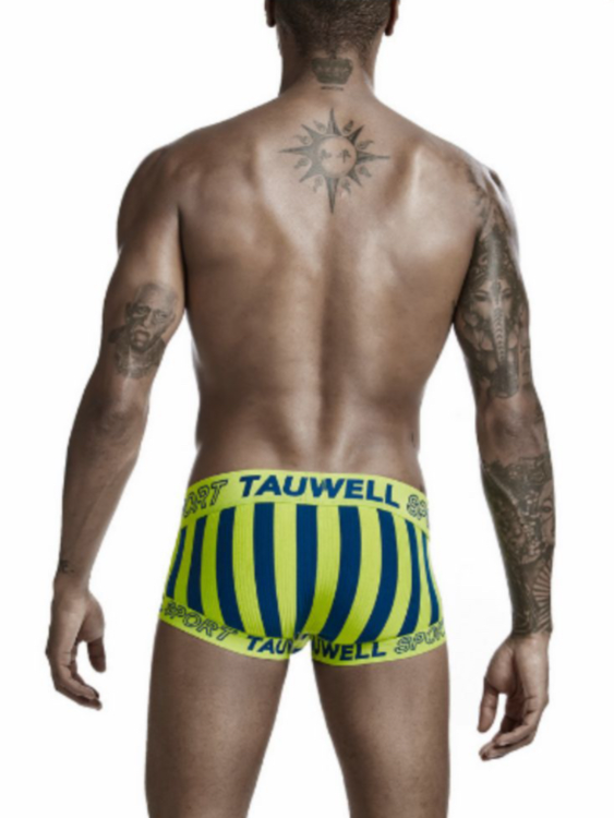 2 PCS Striped Cotton Mesh Boxer Shorts