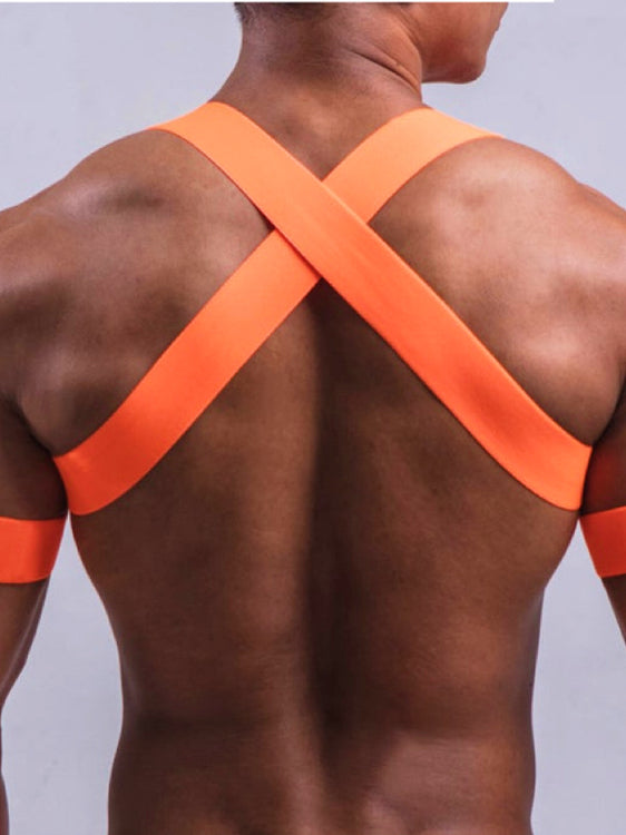 Luminous Elastic Harness