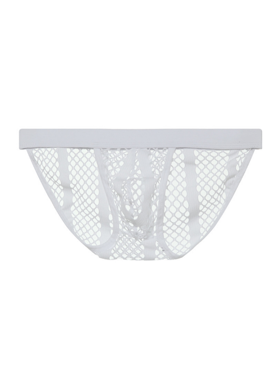 Transparent Mesh High-cut Sexy Brief