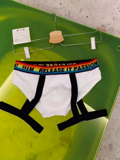 Rainbow Triangle Sexy Underwear for Men